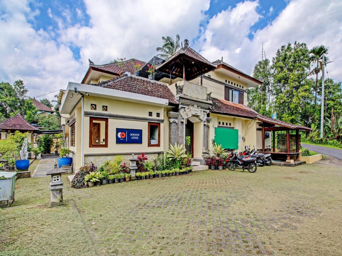 Collection O 91319 Bokashi Lodge Gobleg  Εξωτερικό φωτογραφία