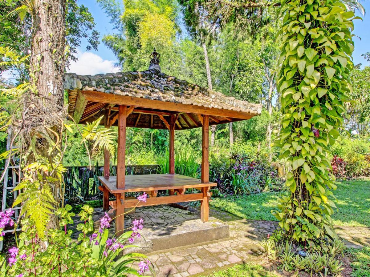 Collection O 91319 Bokashi Lodge Gobleg  Εξωτερικό φωτογραφία